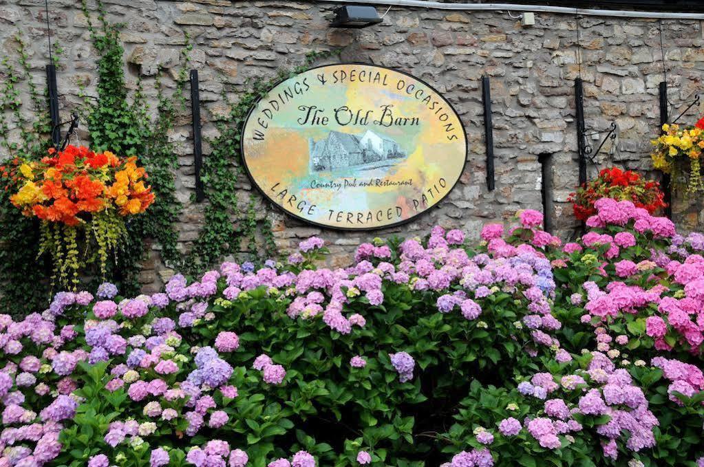 ניופורט The Old Barn Inn מראה חיצוני תמונה